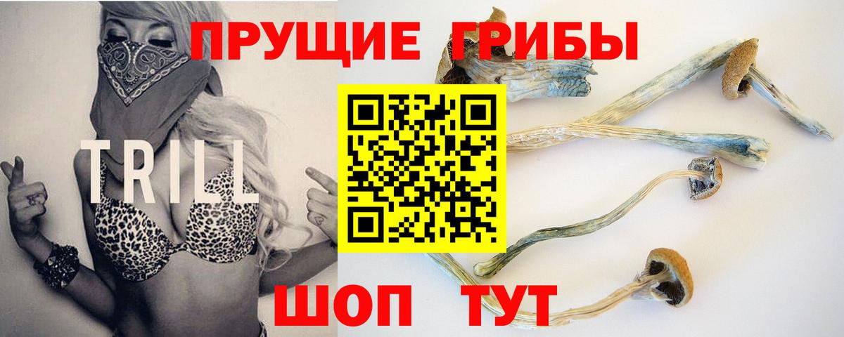 где купить наркоту  Псилоцибиновые грибы прущие грибы  Вход с VPN  Калининград  Псилоцибиновые грибы Psilocybine cubensis 